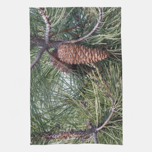 Linge De Cuisine Pinecone sur le pin (Vertical)