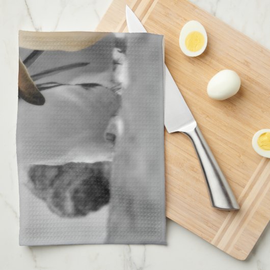 Linge De Cuisine Pingouins de Rockhopper (Quart Plié)