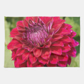 Linge De Cuisine Pink Dahlia, Belle Photographie Fleur (Horizontal)