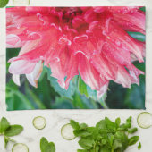 Linge De Cuisine Pink Dahlia Photographie, Beauté canadienne (Plié)