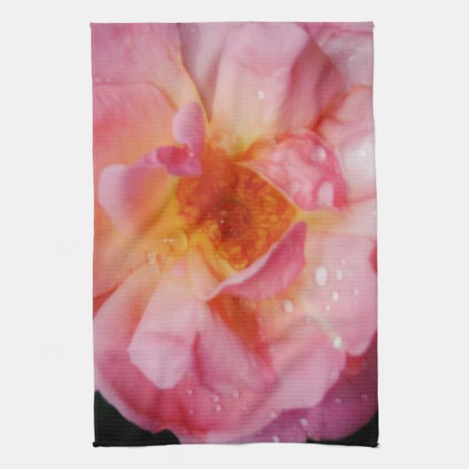 Linge De Cuisine Pink Rose w/ Dew Drops Black Background (Vertical)