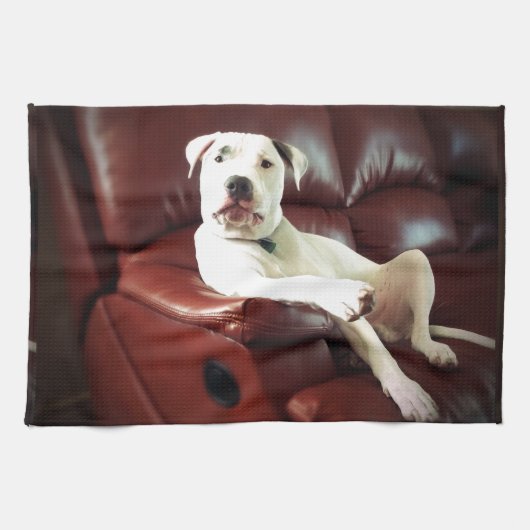 Linge De Cuisine pitbull blanc drôle sur le canapé (Horizontal)