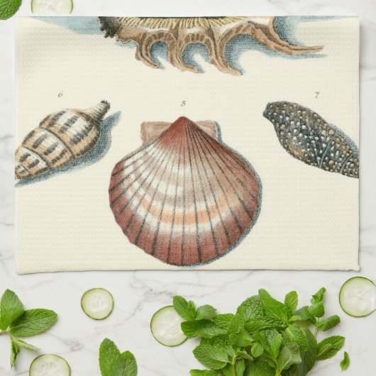 Linge De Cuisine Plage de Shell soignée (Plié)