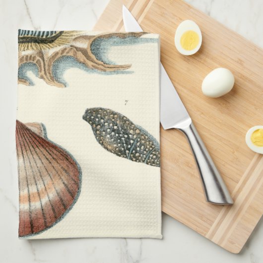 Linge De Cuisine Plage de Shell soignée (Quart Plié)