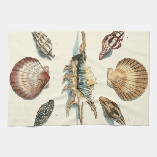 Linge De Cuisine Plage de Shell soignée (Horizontal)