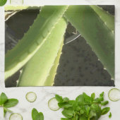 Linge De Cuisine Plante d'aloès (Plié)