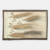 Linge De Cuisine Plante de blé résistant à la sécheresse, Agricultu (Horizontal)