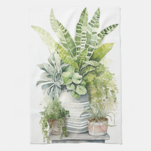 Linge De Cuisine Plantes d'intérieur