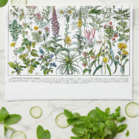 Plantes médicinaux et fleurs par Adolphe Millot