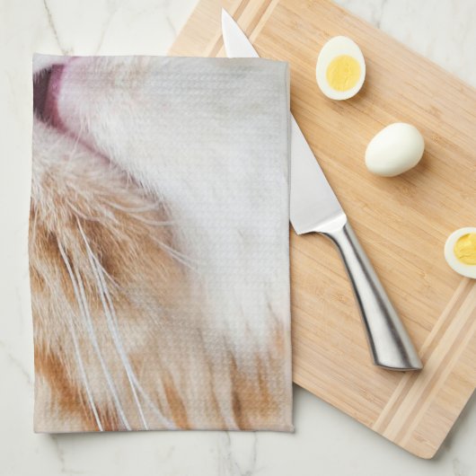 Linge De Cuisine Plats secs du DA ! (Quart Plié)