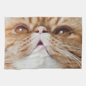 Linge De Cuisine Plats secs du DA ! (Horizontal)