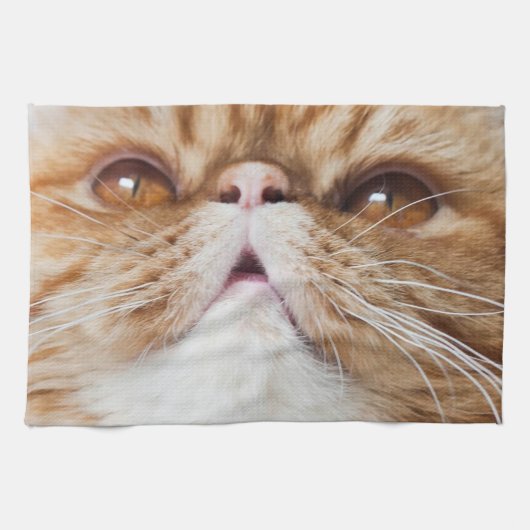 Linge De Cuisine Plats secs du DA ! (Horizontal)