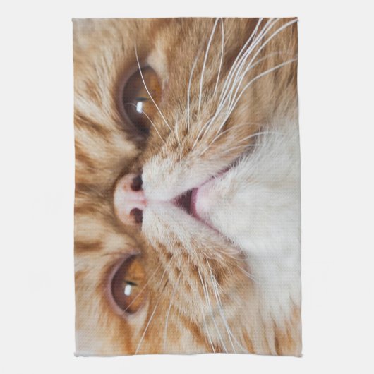 Linge De Cuisine Plats secs du DA ! (Vertical)