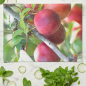 Linge De Cuisine Plum cerise sur branche (Plié)