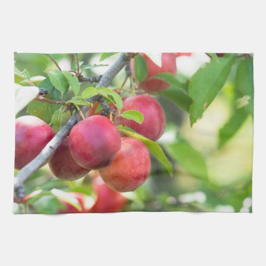 Linge De Cuisine Plum cerise sur branche (Horizontal)