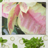 Linge De Cuisine Poinsettia crème rose (Plié)