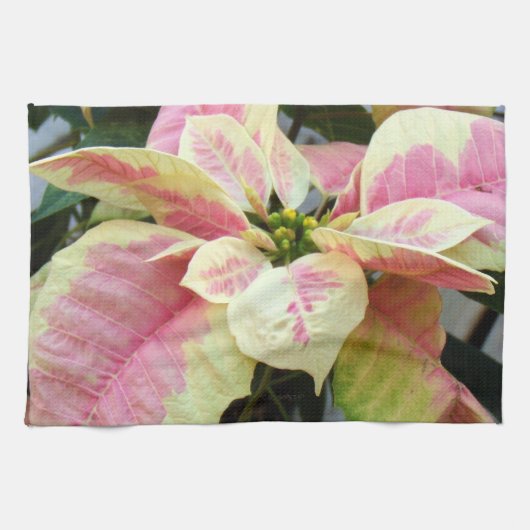 Linge De Cuisine Poinsettia crème rose (Horizontal)