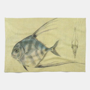Linge De Cuisine Poisson Alectis indicus, Carangue à trois épines v