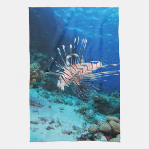 Linge De Cuisine Poisson lion ou Pterois Miles, Poisson de récif oc