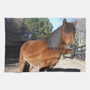 Linge De Cuisine Poney brun ciel turquoise