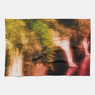 Linge De Cuisine Pont De Fleurs Couleur Partielle Vintage Distress