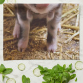 Linge De Cuisine Porcelet (Plié)