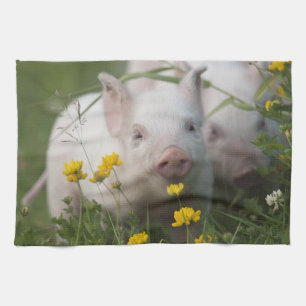 Linge De Cuisine Porcelet blanc mignon dans le domaine des fleurs