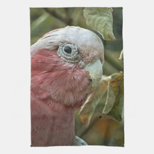 Linge De Cuisine Portrait de Galah Cockatoo Rose Oiseau Australien