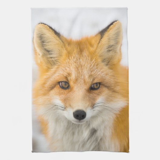 Linge De Cuisine Portrait de renard roux (Vertical)