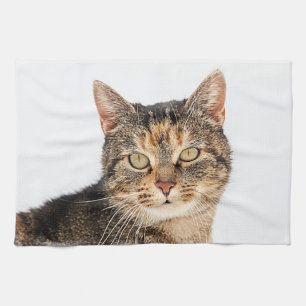Linge De Cuisine Portrait d'un chat