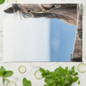 Linge De Cuisine Portrait d'un cheval (Plié)