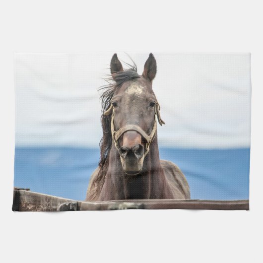 Linge De Cuisine Portrait d'un cheval (Horizontal)