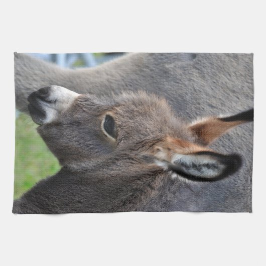 Linge De Cuisine Poulain d'âne (Horizontal)