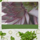 Linge De Cuisine Poules et poules (Plié)