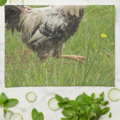 Linge De Cuisine poulet, coq, animal, oiseau, ferme, agriculture, (Plié)