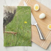 Linge De Cuisine poulet, coq, animal, oiseau, ferme, agriculture, (Quart Plié)