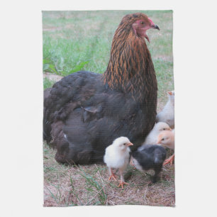 Linge De Cuisine poulet, poussins, poulets, poussins, animal, oisea