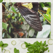 Linge De Cuisine pretty black yellow butterfly photographe (Plié)