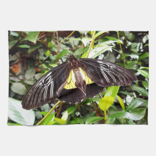 Linge De Cuisine pretty black yellow butterfly photographe