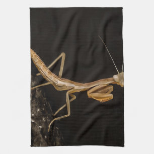 Linge De Cuisine Prière Mantis Belle Et Déplaisante Insecte Art