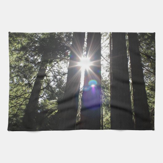 Linge De Cuisine Produits nouveaux (Horizontal)