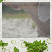 Linge De Cuisine Profil doux de chien de Weimaraner (Plié)