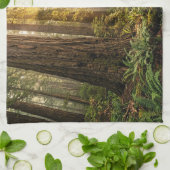 Linge De Cuisine Promenade en forêt (Plié)