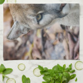 Linge De Cuisine Puma, cougar, panthère de Floride, Puma (Plié)