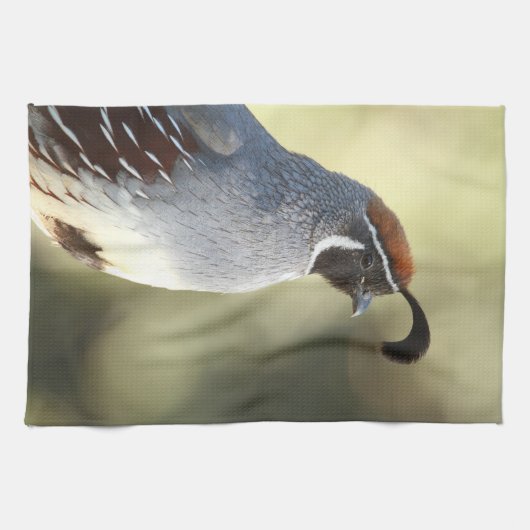 Linge De Cuisine Queue masculine (Horizontal)