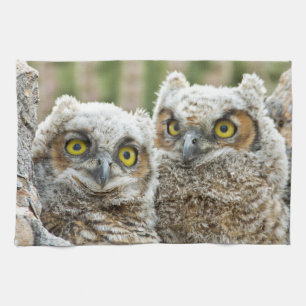 Linge De Cuisine Qui est là, Pair of Owl's