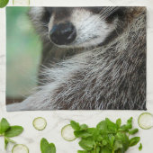 Linge De Cuisine Raccoon 001 (Plié)