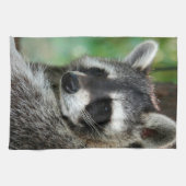 Linge De Cuisine Raccoon 001 (Horizontal)