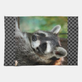 Linge De Cuisine Raccoon 001 (Horizontal)