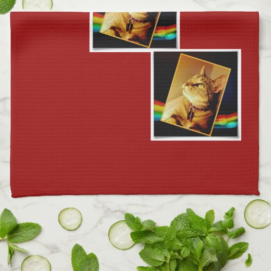 Linge De Cuisine Rainbow Indigo (Plié)